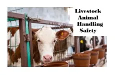 Livestock and Animal handling Safety